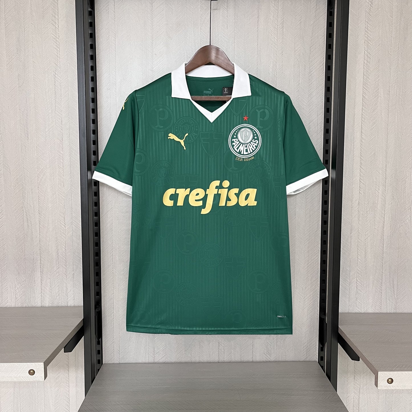 Maillot Palmeiras 24/25 