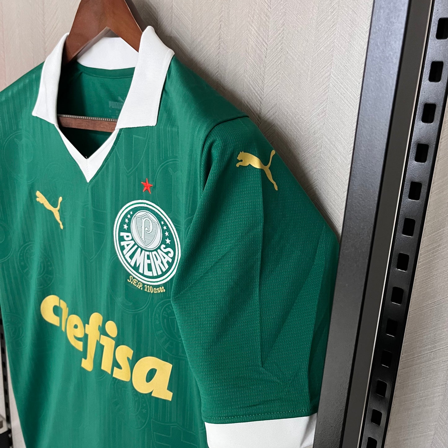 Maillot Palmeiras 24/25 