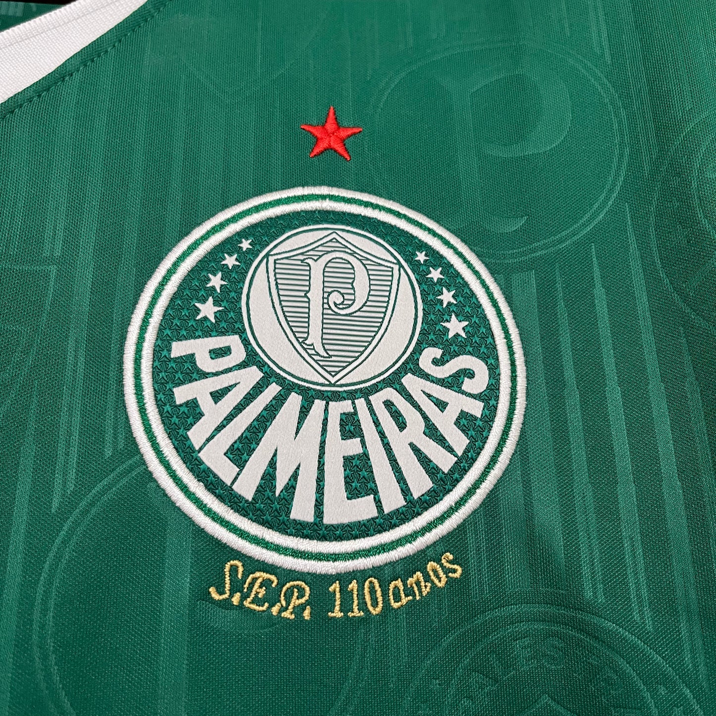 Maillot Palmeiras 24/25 